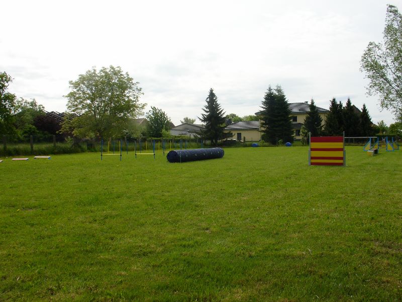DSC05394 800x600
