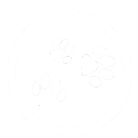 Kurse und Gruppen wh